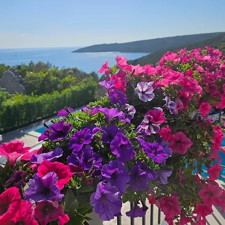 Willa Luxury Sentada *