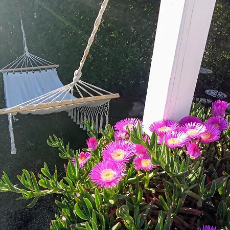 Willa Luxury Sentada *