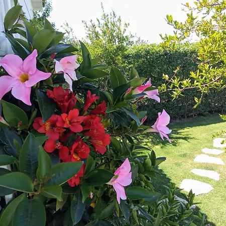 Villa Luxury Sentada Vinisce