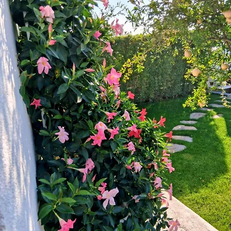 Luxury Sentada * Vinišće