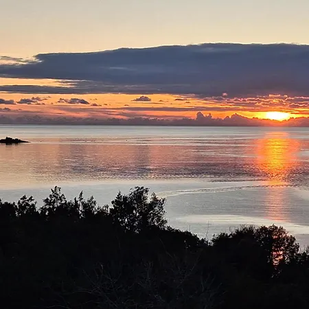 فيلة Luxury Sentada