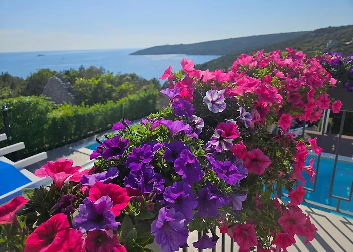 فيلة Luxury Sentada *