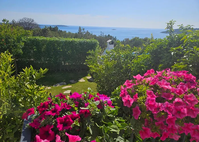 فيلة Luxury Sentada *