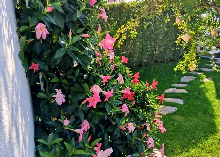 Luxury Sentada * Vinišće